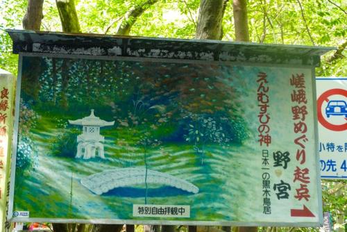 Ein Besuch im Arashiyama Bamboo Forest